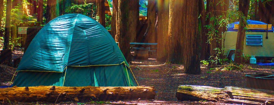 Camping in the forest