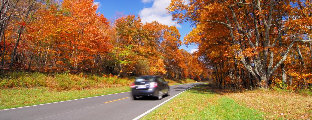 Fall Driving