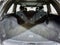 2023 Jeep Grand Cherokee Trailhawk 4xe