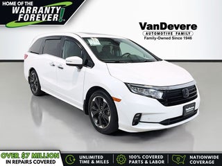 2023 Honda Odyssey Elite