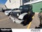 2010 Jeep Wrangler Sport