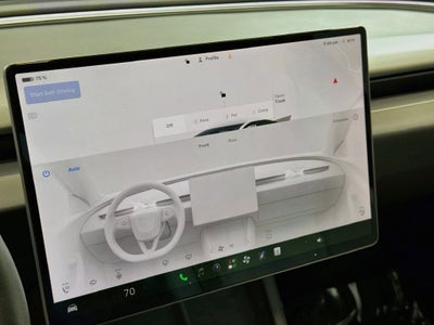 2025 Tesla Model 3 Performance