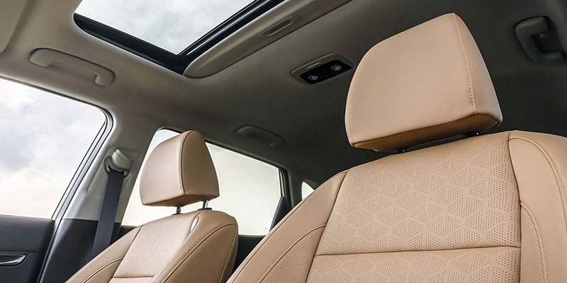 2026 Kia Seltos interior headrests designed for passenger comfort and support in Akron, OH