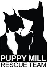 VanDevere Kia in Akron OH